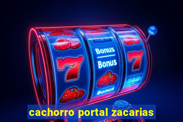 cachorro portal zacarias